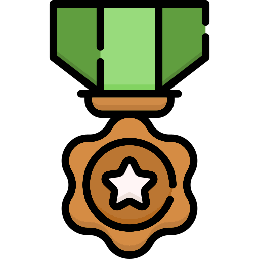 Bronze Medal Icon